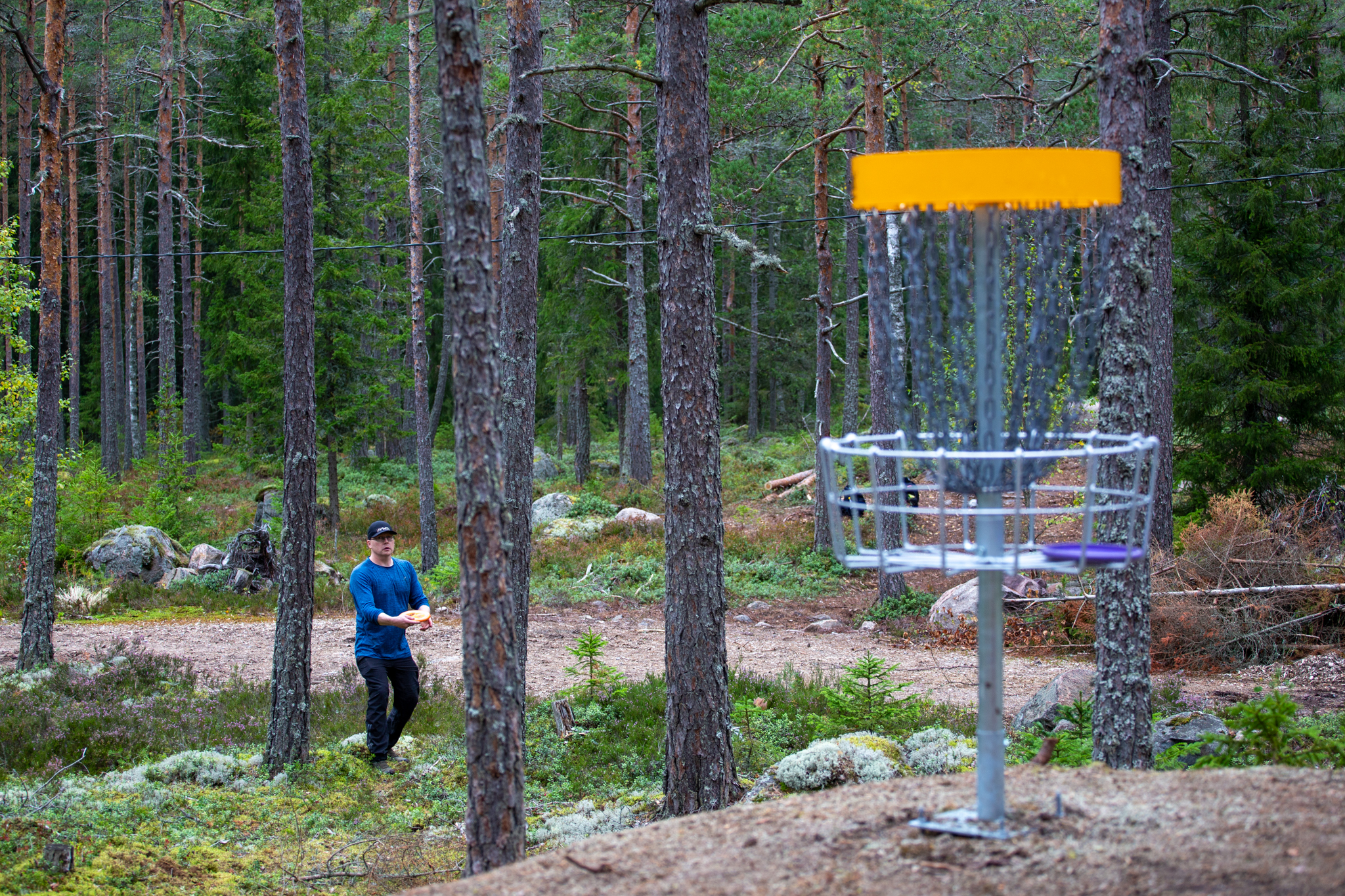 Mies heittää frisbeegolfia metsäradalla.