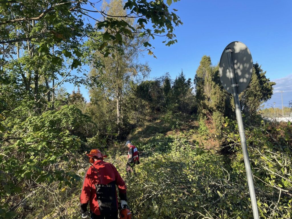 maisemanraivausta Lapissa